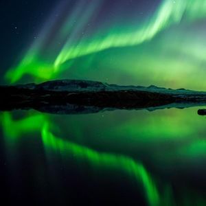 Meet your Posher, Blake